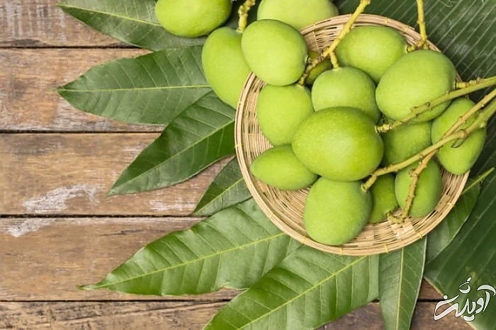 خواص چغاله بادام برای سلامت بدن مواد مغذی چغاله بادام